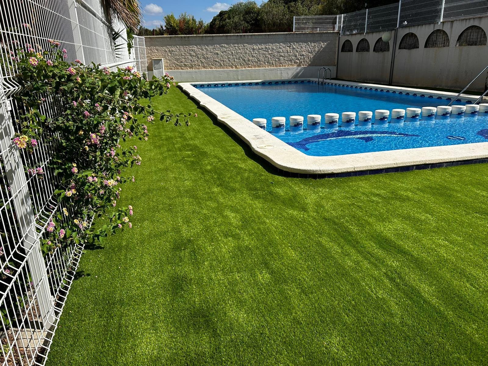 Proyecto junto a piscina